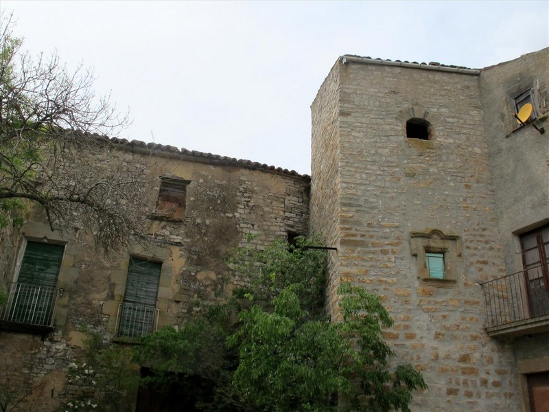 Imagen de Castillo de La Prenyanosa