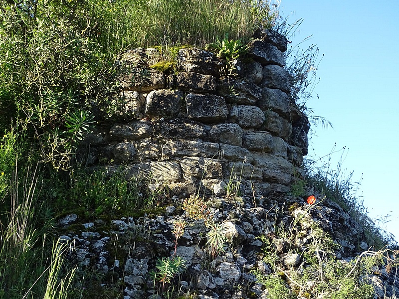 Imagen de Castillo de Argentera