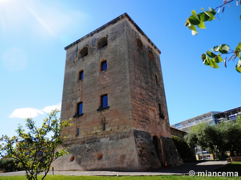 Imagen de Torre de Carlos V